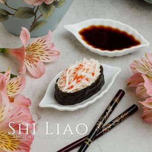 Shi Liao Ancient Chinese Therapy - Mindfulness Meditation Music Spa Maestro
