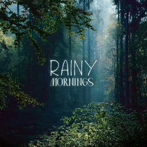 Rainy Mornings: Moody Ambience From Relaxing Forests - Lightning, Thunder and Rain Storm