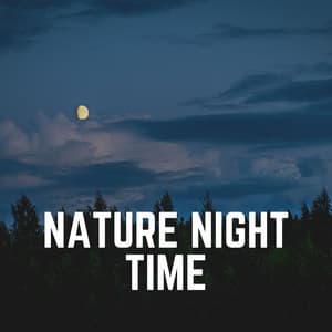 Nature Night Time - Mother Nature Soundscapes