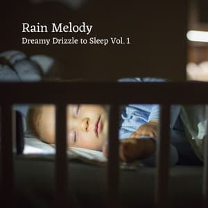 Rain Melody: Dreamy Drizzle to Sleep Vol. 1 - Natures DNA
