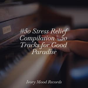 #50 Stress Relief Compilation - 50 Tracks for Good Paradise - Ivory Mood
