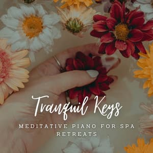 Tranquil Keys: Meditative Piano for Spa Retreats - Piano Relaxation