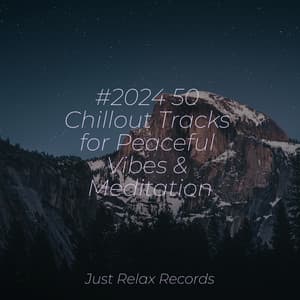#2024 50 Chillout Tracks for Peaceful Vibes & Meditation - Study Hard