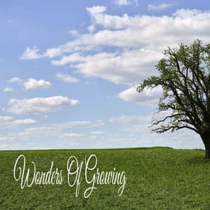 Wonders Of Growing - Calmar la Ansiedad