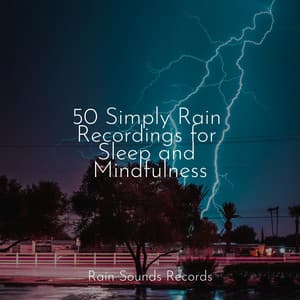 50 Simply Rain Recordings for Sleep and Mindfulness - Calming Sounds