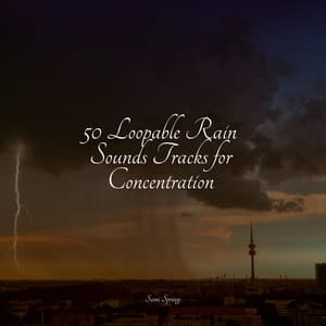 50 Loopable Rain Sounds Tracks for Concentration - Massage
