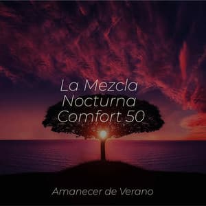 La Mezcla Nocturna Comfort 50 - Spa