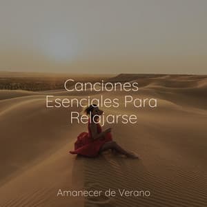 Canciones Esenciales Para Relajarse - Relaxing Spa Music