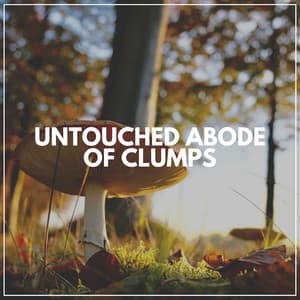 Untouched Abode of Clumps - Life Sounds Nature