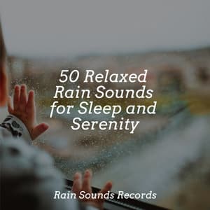 50 Relaxed Rain Sounds for Sleep and Serenity - Calming Sounds
