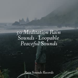 50 Meditation Rain Sounds - Loopable Peaceful Sounds - Lightning, Thunder and Rain Storm