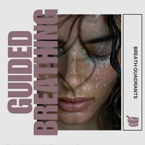 Breath Quadrants: The 4-Stage Serenity Path and Tibetan Bowl Calm - Guided Breathing