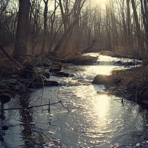 Ritmos Binaurales Para El Sueño Nocturno Reparador - Canción Nocturna
