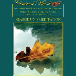 Classical Moods - Classic And Meditation - Jörg Demus
