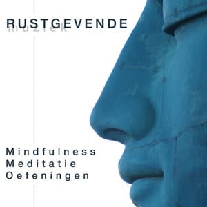 Rustgevende Muziek - Mindfulness Meditatie-Oefeningen - Qi Gong Academy