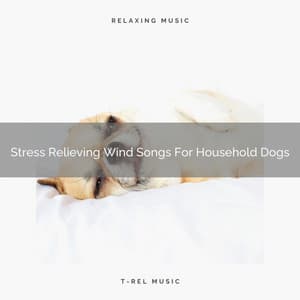Stress Relieving Wind Songs For Household Dogs - Dog Total Relax