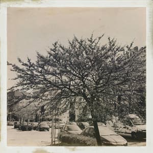 30 Day Zen: The Vibe Of Now - 16 Bit Serenity