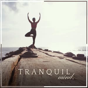 Tranquil Mind - Radio Zen Music
