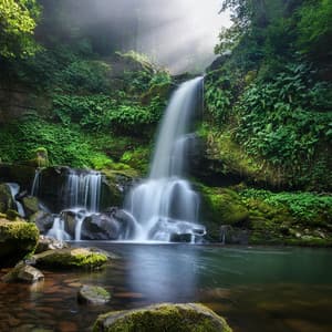 Melodías De Meditación: Sesiones Tranquilas - Elevación del alma