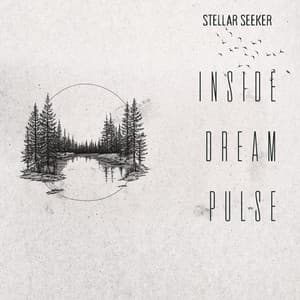Inside Dream Pulse - Stellar Seeker