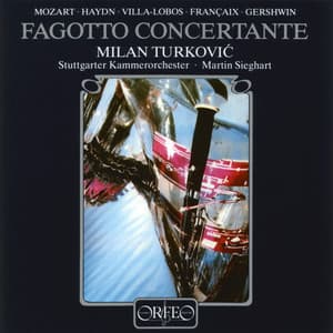 Fagotto concertante - Milan Turkovic