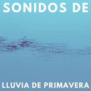 Sonidos De Lluvia De Primavera - Meditación de lluvia