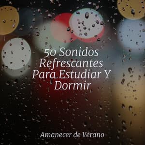 50 Sonidos Refrescantes Para Estudiar Y Dormir - CANCIONES DE CUNA