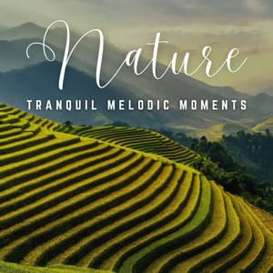 Soothing Serenades: Enriching Relaxation Melodies - Classical Music Station