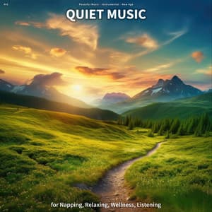 #01 Quiet Music for Napping, Relaxing, Wellness, Listening - Peaceful Music