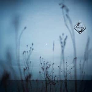 Marche dans l’Ombre - Ensemble de Musique Zen Relaxante