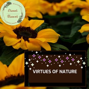 Virtues of Nature - Calm Music