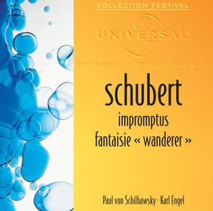 Schubert: Impromptus op.90 et op.142-Fantaisie "Wanderer" - Franz Schubert