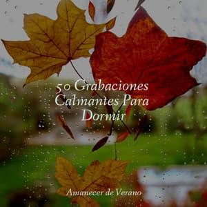 50 Grabaciones Calmantes Para Dormir - Musica Relajante Specialistas & Musica Relajante