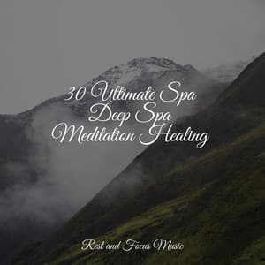 30 Ultimate Spa Deep Spa Meditation Healing - Spa Relaxation
