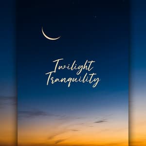 Twilight Tranquility: Drift Into Sleep, Songs for Peaceful Sleep - Sleepy Music Zone
