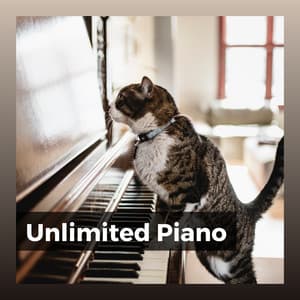 Unlimited Piano - Músicas Para Relaxar