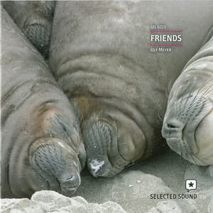 Friends - Ulf Meyer