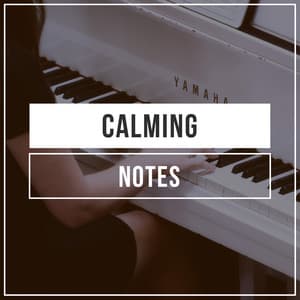 # 1 Album: Calming Notes - Zumoberry