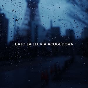 Bajo La Lluvia Acogedora - Meditación de lluvia