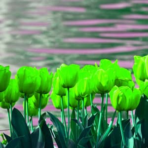 Dream-Like Music for Periodic Times - Piano Duo - Mellow Jazz Playlist