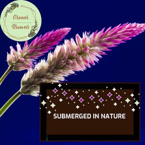 Submerged in Nature - Calm Music