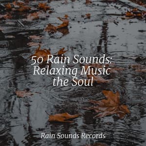 50 Rain Sounds: Relaxing Music the Soul - Study Music & Sounds