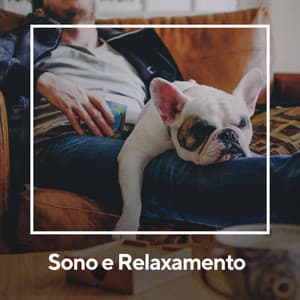 Sono e Relaxamento - Sons da Natureza