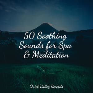 50 Soothing Sounds for Spa & Meditation - Pink Noise