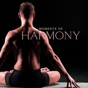 Moments of Harmony: Deep Relaxation Music Therapy for Pure Calm and Serenity - Calming Music Ensemble