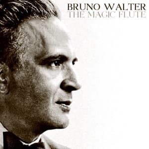 Mozart: The Magic Flute - Wolfgang Amadeus Mozart