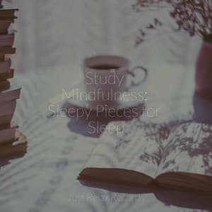 Study Mindfulness: Sleepy Pieces for Sleep - Music For Absolute Sleep