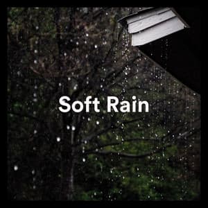 Soft Rain - Soft Soundscapes