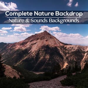 Complete Nature Backdrop - Nature Sounds & Backgrounds