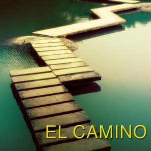 El Camino - Vinicius Cantuaria